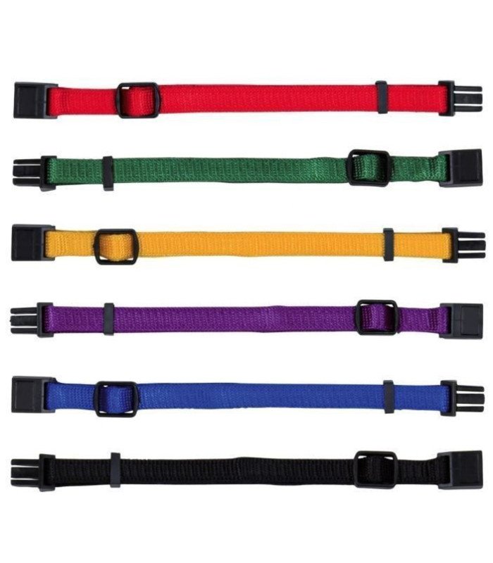 Set de Collar Cachorros - 1