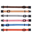Set de Collar Cachorros - 2