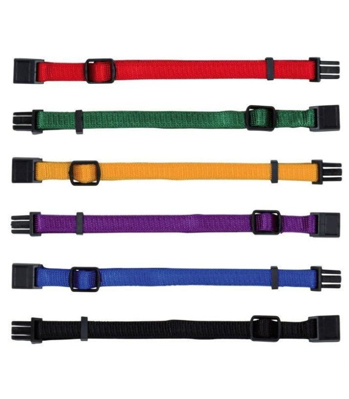 Set de Collar Cachorros - 3