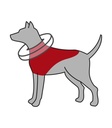 Collar Protector - 1