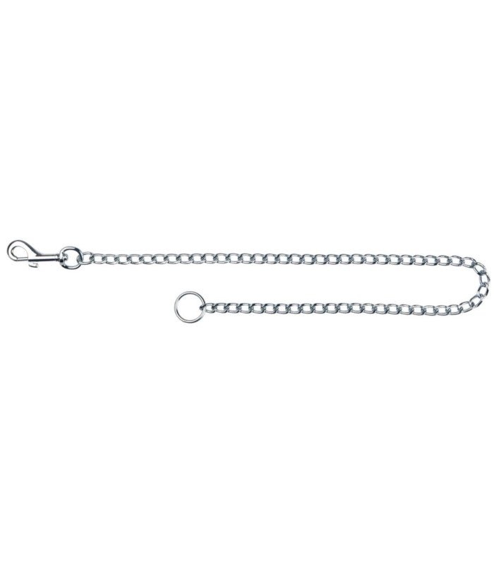 Correa Metálica, cromada - 1