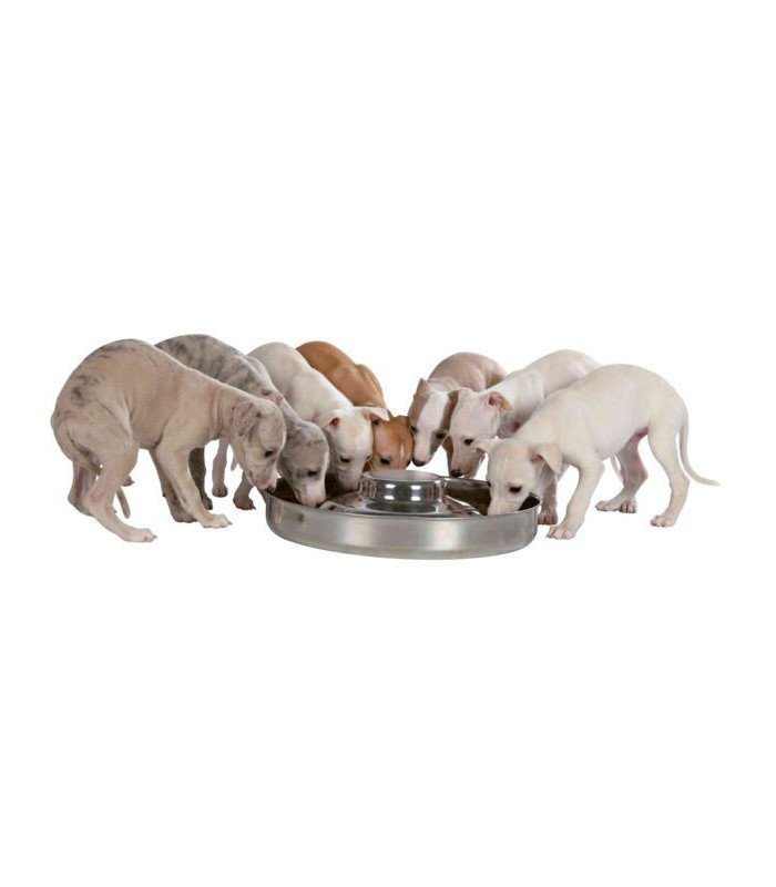 Comedero Cachorros - 1
