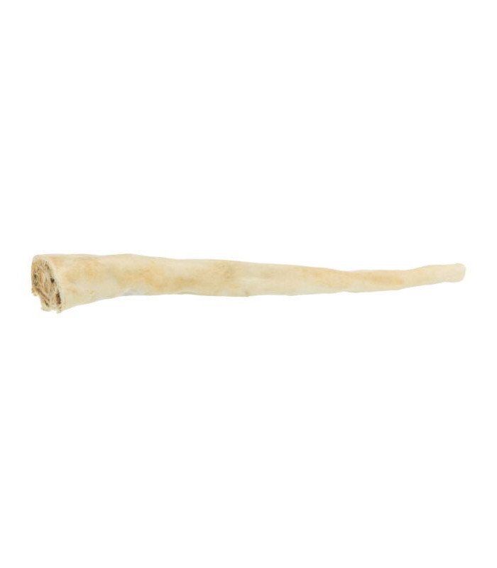 Rabo de búfalo - 1