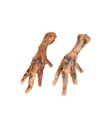 Patas de Pollo - 1