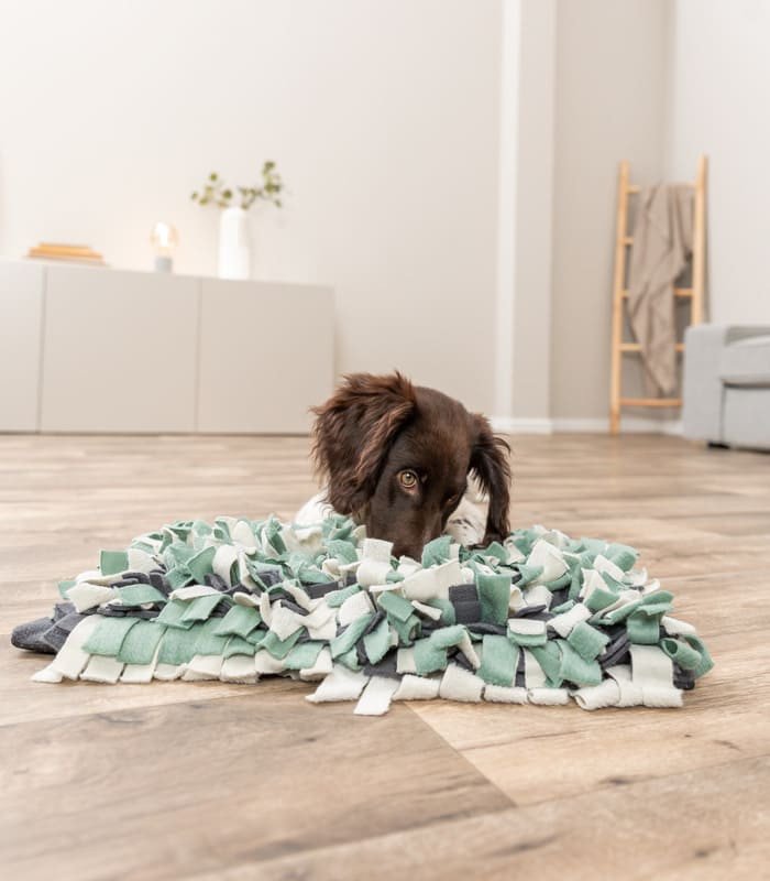Juego Sniffing Carpet - 3