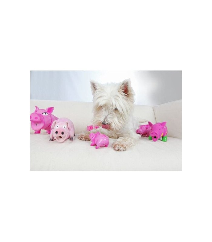 Cerdito Feliz con Sonido Real - 1
