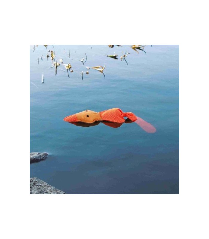 Pato flotante - 1