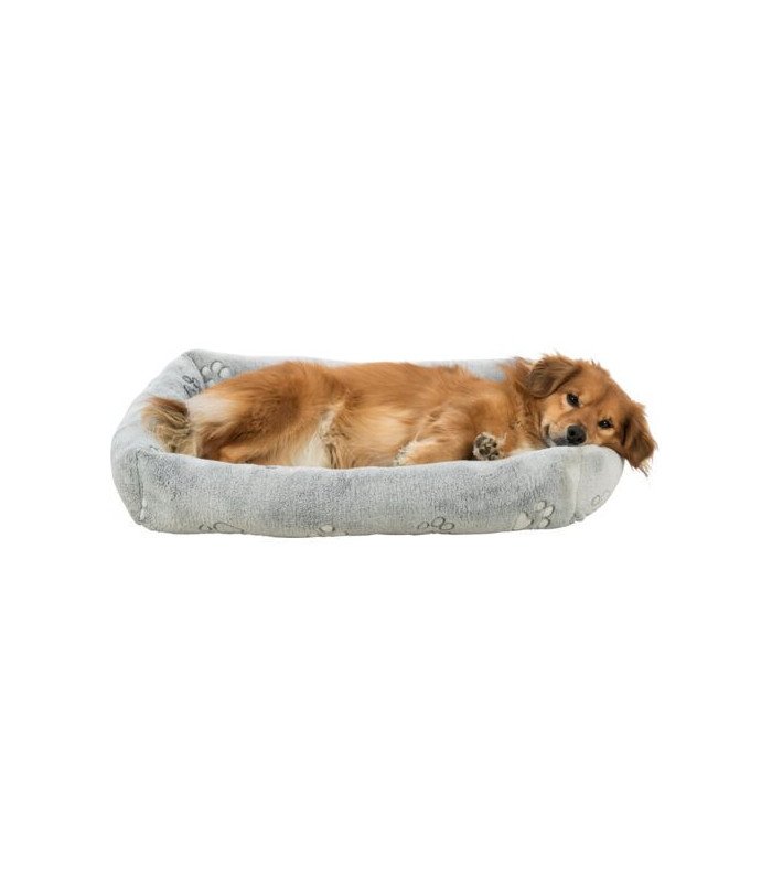 Cama Nando - 1