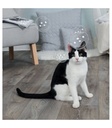Burbujas de Catnip - 2