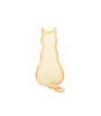 Rascadora Gato - 1