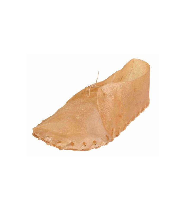 Zapato - 1