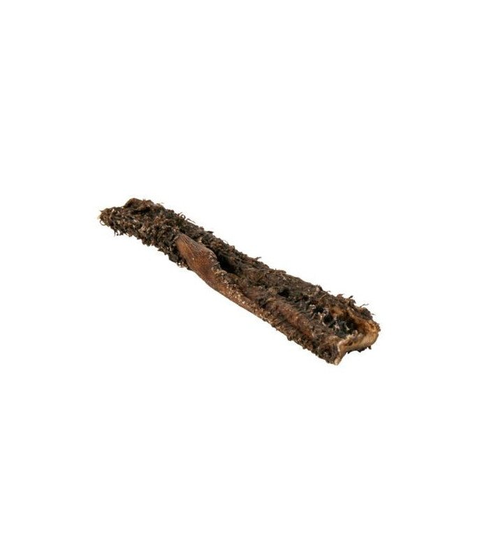 Tripa de Ternera - 1