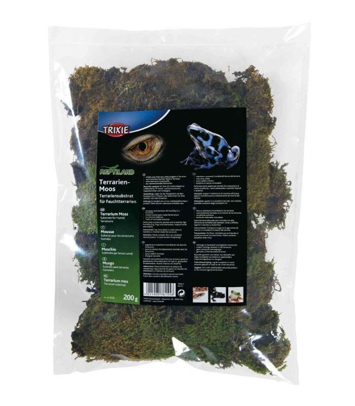 Musgo para Terrario - 1