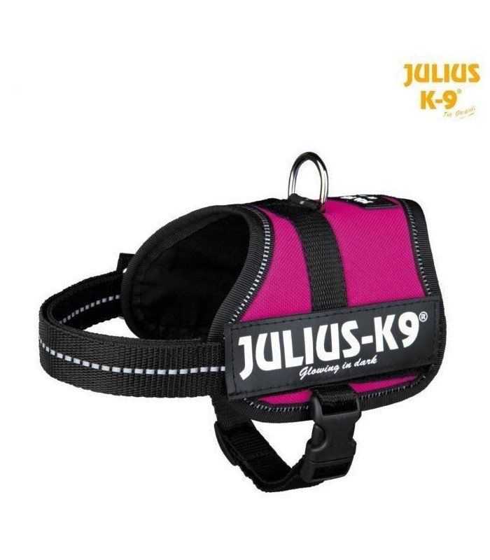 Mini Arnés Julius-K9® - 4