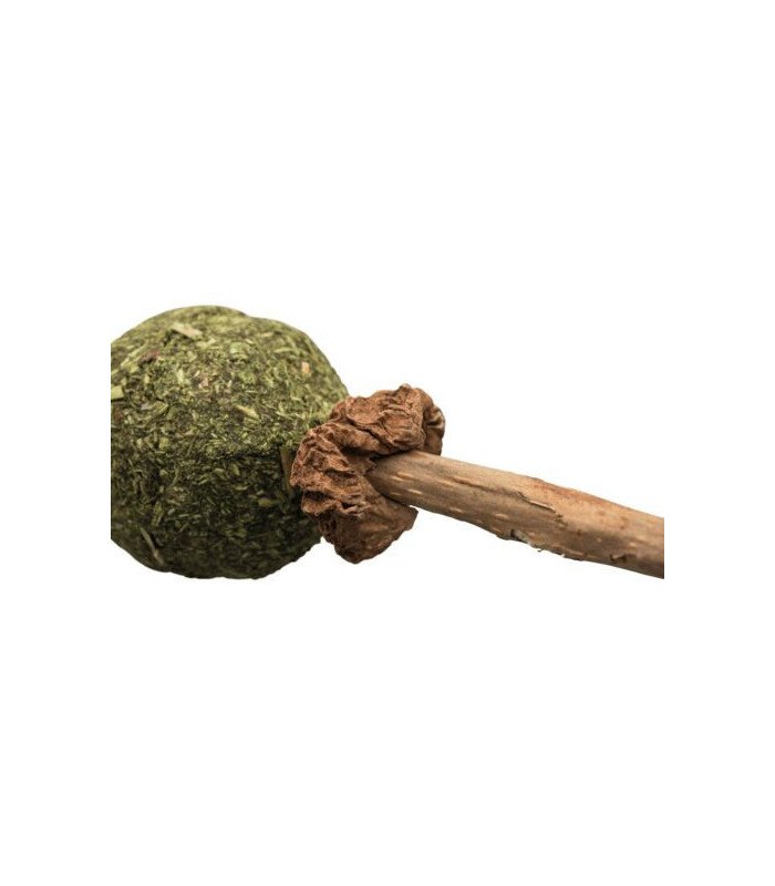 Catnip/Matatabi Lolli - 1