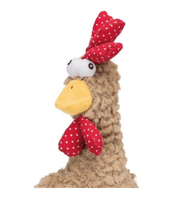 Gallo 60cm - 1