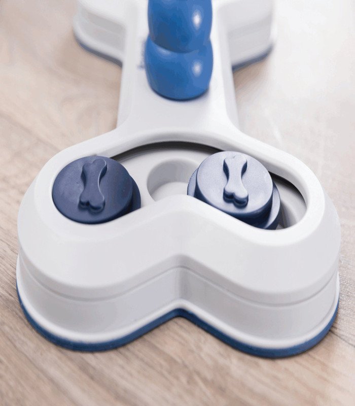 Juego Interactivo Flip Bone - 3