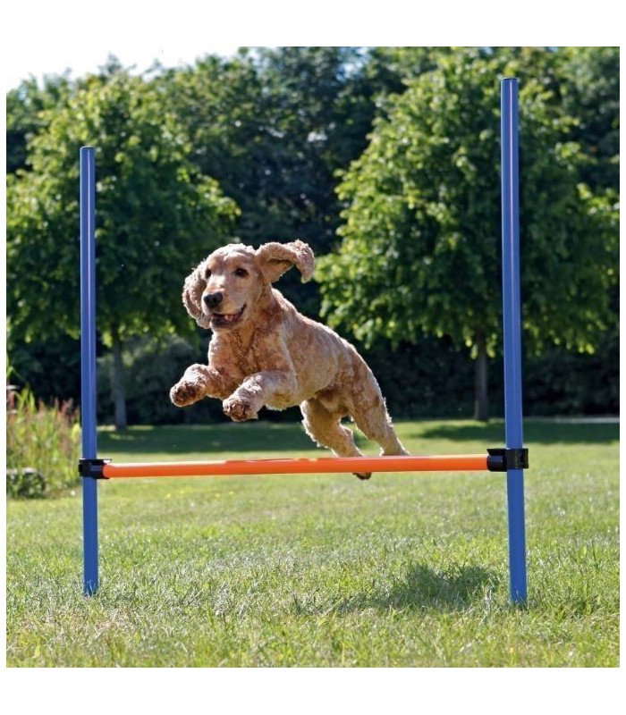 Valla para Agility - 1
