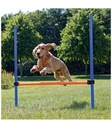 Valla para Agility - 1