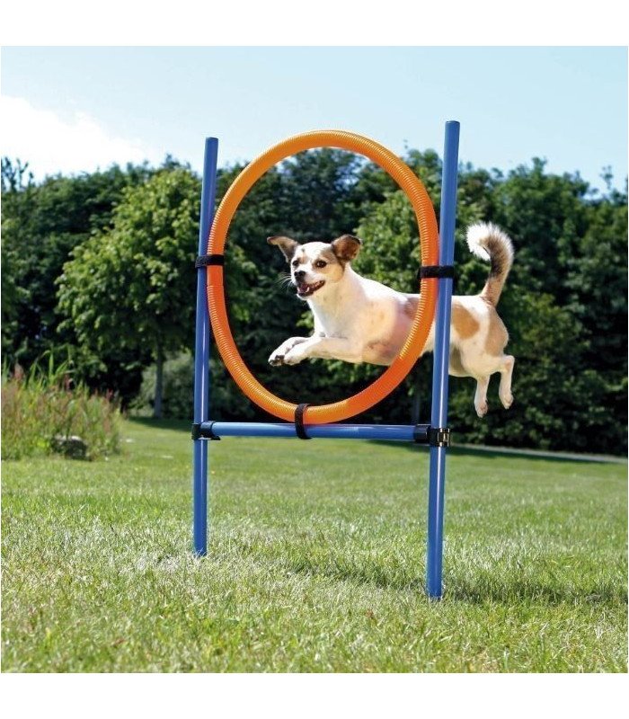 Aro para Agility - 1