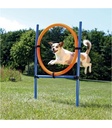 Aro para Agility - 1