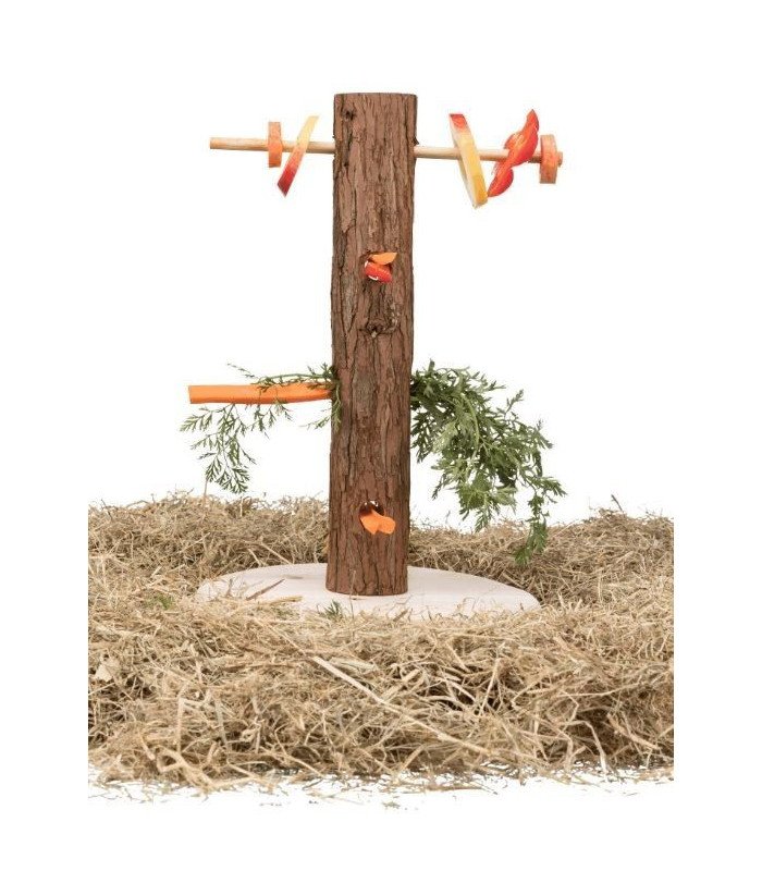 Árbol de Comida - 1