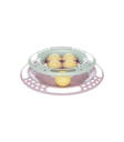 Junior Kitten Circle - 1