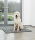 Alfombrilla Absorbe Suciedad - 2
