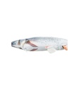 Pez enrollable - 4