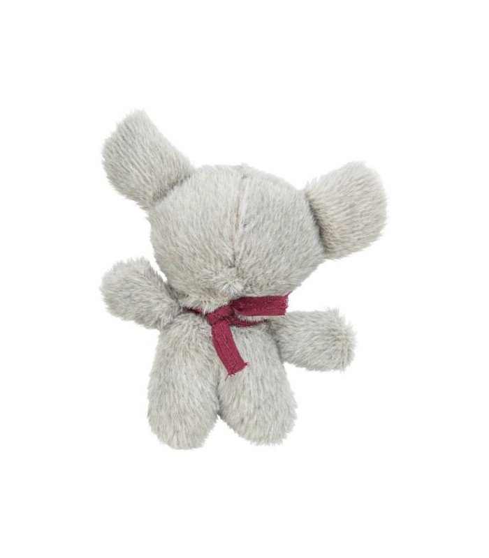 Koala - 1