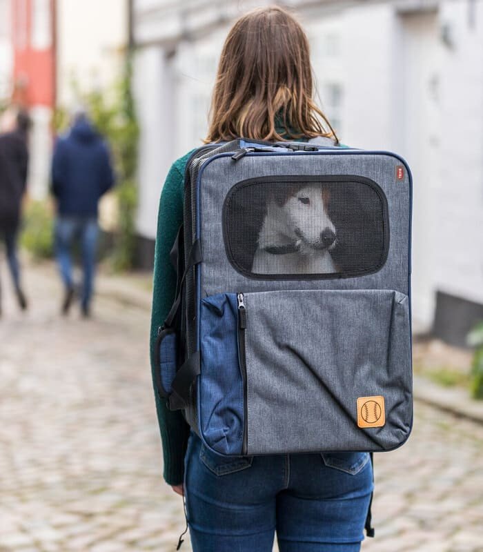 Mochila y transportín Tara 2 en 1 - 1