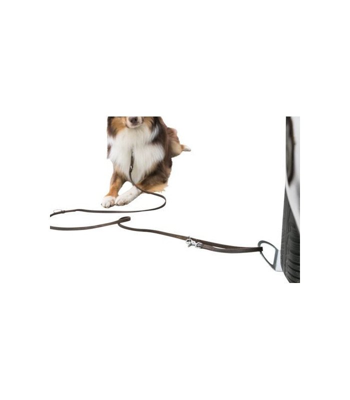 Placa de accionamiento con soporte - 2