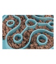 Slow Feeding Mantel para Alimento - 2