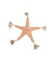 BE NORDIC Estrella de Mar Jane - 1