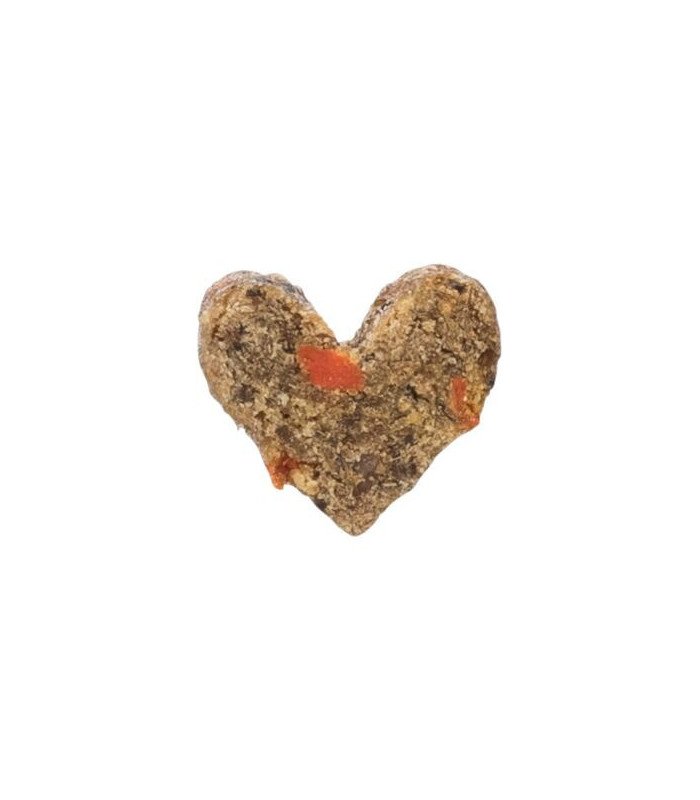 Insect Hearts con gusanos - 2