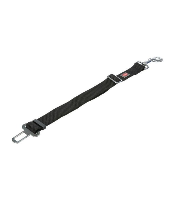 Cinturón de Seguridad - 3