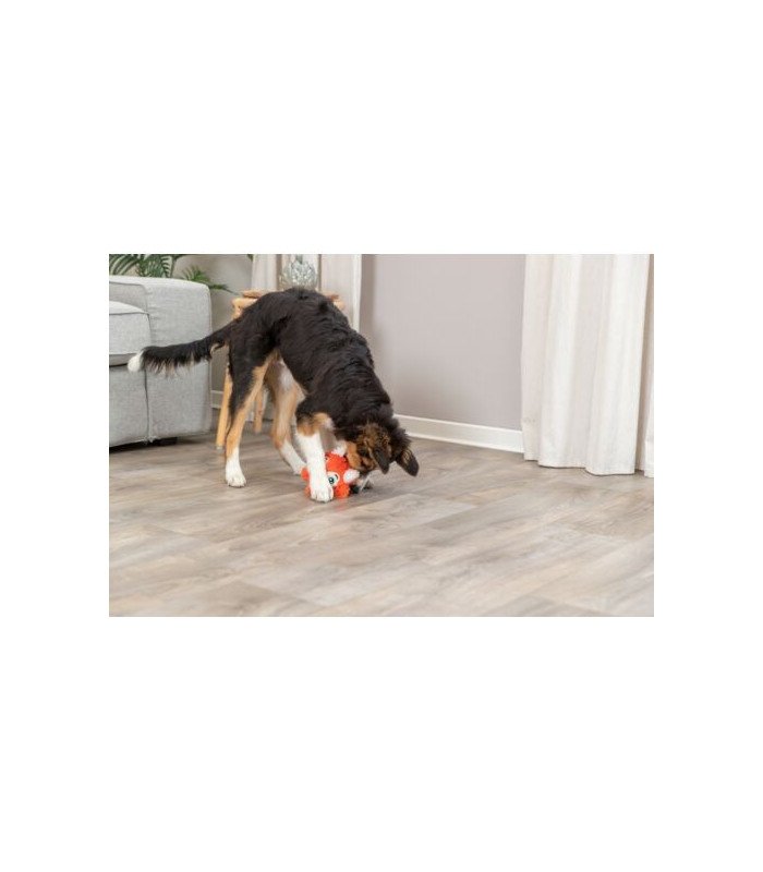 Juguete para perros Zorro Flo - 1