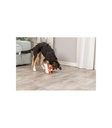 Juguete para perros Zorro Flo - 1