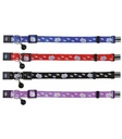 Collar para Gatos - 1