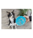 Lick'n'Snack Bowl - 2