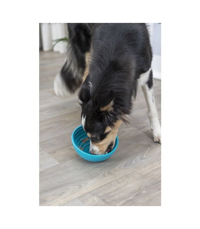 Lick'n'Snack Bowl - 3