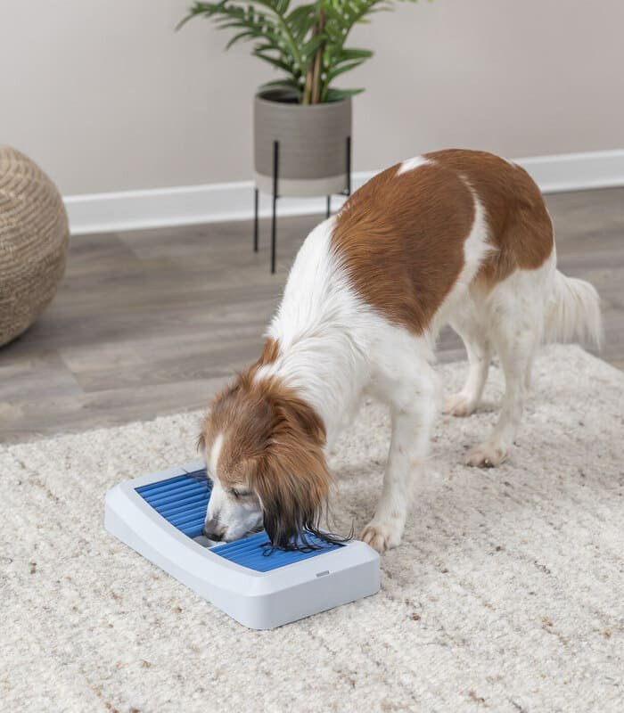 Juego Interactivo Rod Board - 3