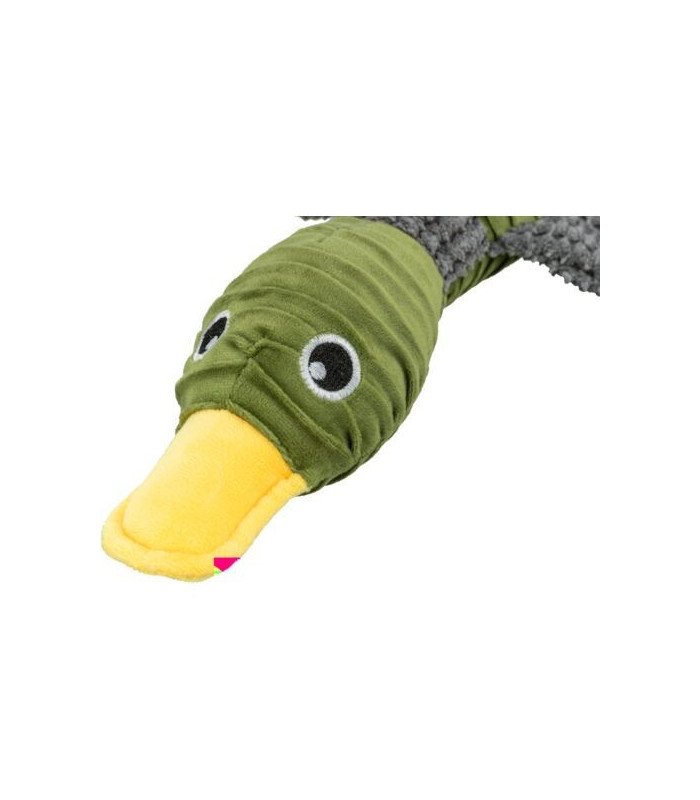 Pato - 1