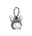 Burro - 2