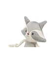 Mapache - 2