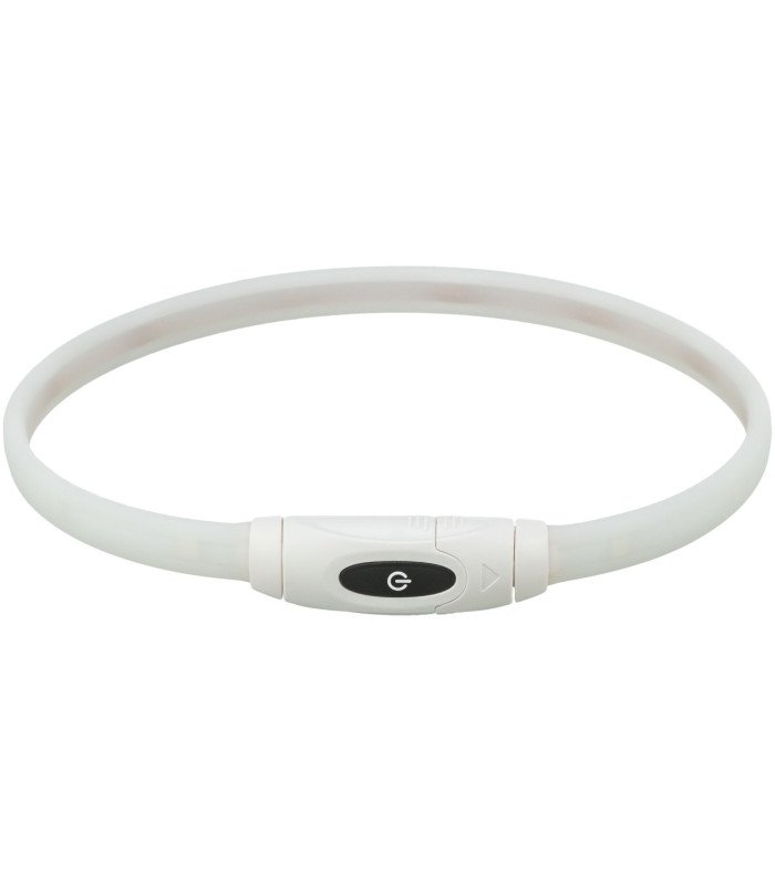 Collar de Aro Flash USB - 1