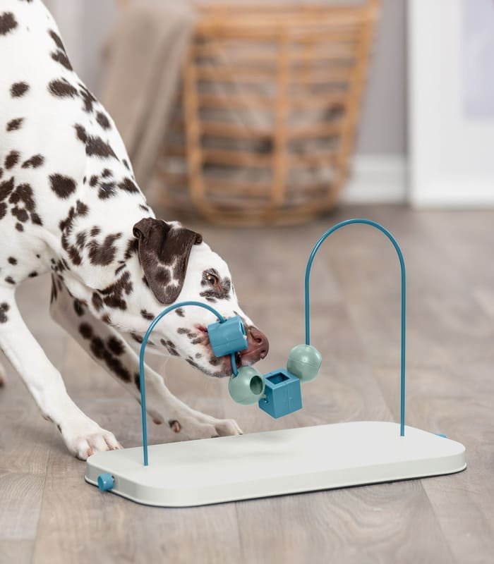 Dog Activity Skills Loop - 3