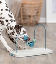 Dog Activity Skills Loop - 3