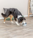 Dog Activity Buzzer - 3