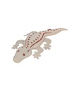 Salamandra - 1